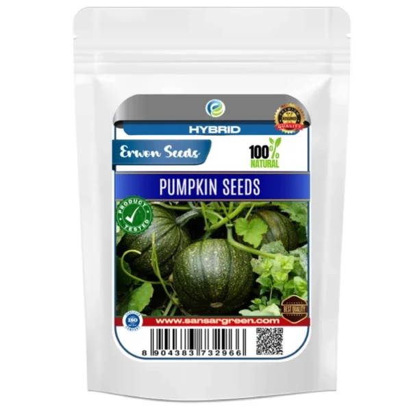 Erwon Hybrid Pumpkin Seeds From Sansar Green