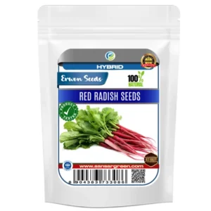 Erwon Hybrids Red Radish Seeds of healthy plants From Sansar Green