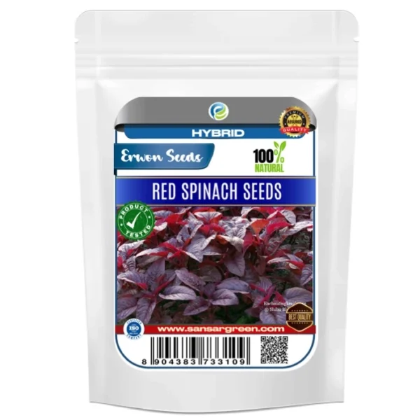 Erwon Hybrids Red Spinach Seeds of healthy plants From Sansar Green