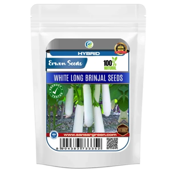 Erwon Hybrid White Long Brinjal Seeds From Sansar Green