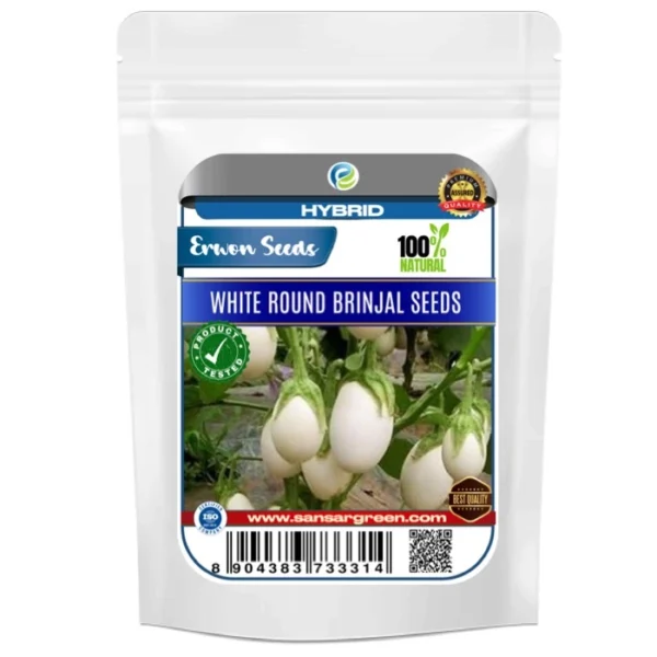 Erwon Hybrid White Round Brinjal Seeds From Sansar Green