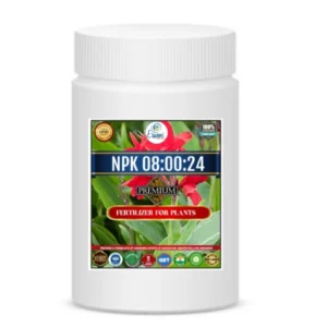 Erwon Npk 08:00:24