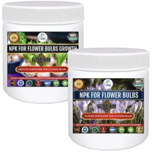 NPK Kit for Flower Bulbs Kit (Fruit 200gm + Growth 200 gm) Fertilizer From Sansar Green