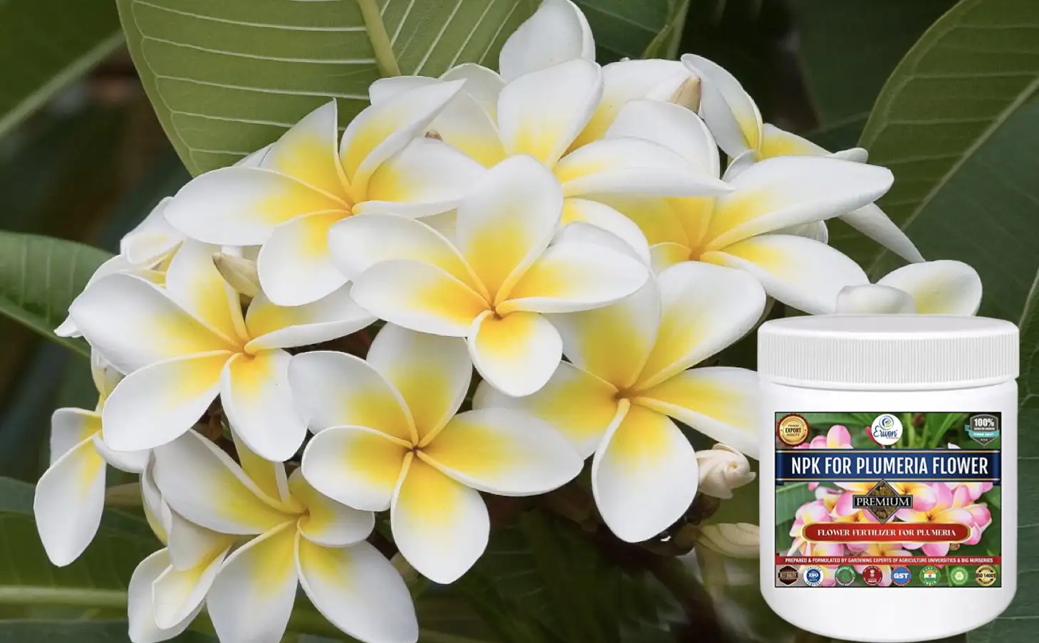 Erwon NPK Plumeria Flower Fertilizer