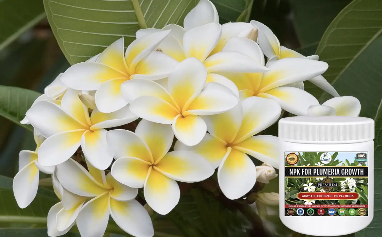 Erwon NPK Plumeria Growth Fertilizer