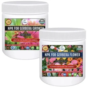 Erwon NPK Kit for Gerbera Plant Best Fertilizer For Gerbera Flower From Sansar Green