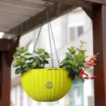 Sansar Green Beautiful Round Hanging Flower Pot From Sansar Green
