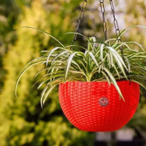 Sansar Green Beautiful Round Hanging Flower Pot From Sansar Green