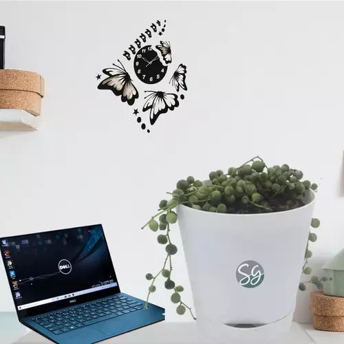 Sansar Green String of Pearl Plants From Sansar Green