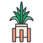 Best Pebbles For Plant From Sansar Green