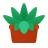 get online Healthy plants in self watering pots for ease of maintenance and plan care from Sansar Green
