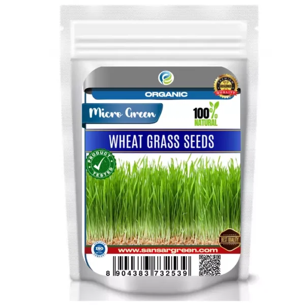 Erwon Wheat Grass Organic Microgreen Seeds From Sansar Green