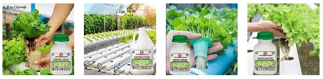 Erwon Liquid Fertilizer For Hydroponic Plant From Sansar Green