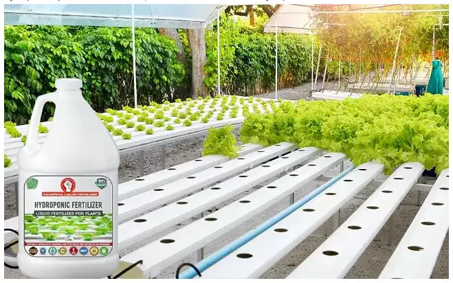 Erwon Liquid Fertilizer For Hydroponic Plant From Sansar Green