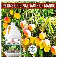 Erwon Mango Booster Liquid Fertilizer From Sansar Green