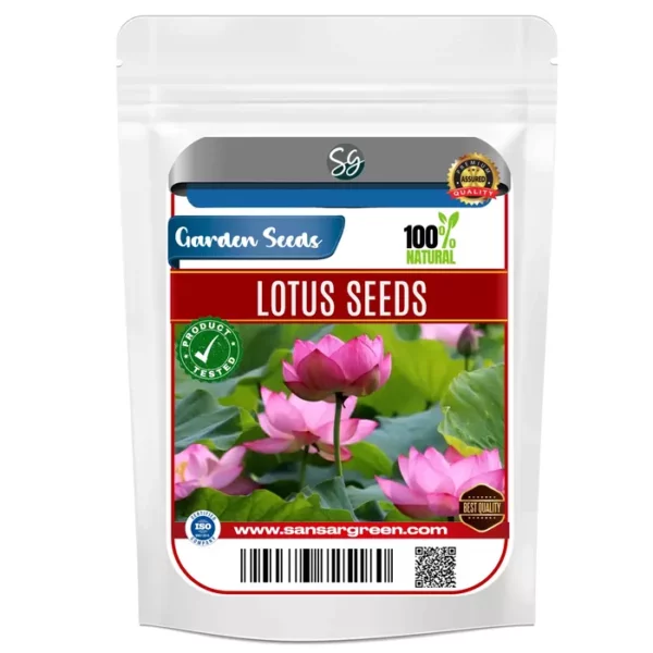 Sansar Green Lotus Flower Seeds From Sansar Green