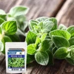 Sansar Green Combo Pack of 5 Leafy Vegetable Seeds