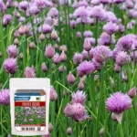 Sansar Green Combo Pack of 5 Leafy Vegetable Seeds