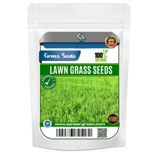 Sansar Green Lawn Grass Seeds From Sansar Green