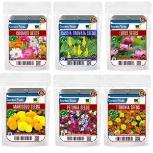 Sansar Green Combo Pack of 6 Flower Seeds