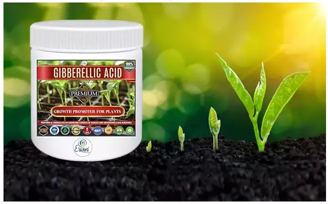 Erwon Gibberellic Acid For Plants from Sansar Green