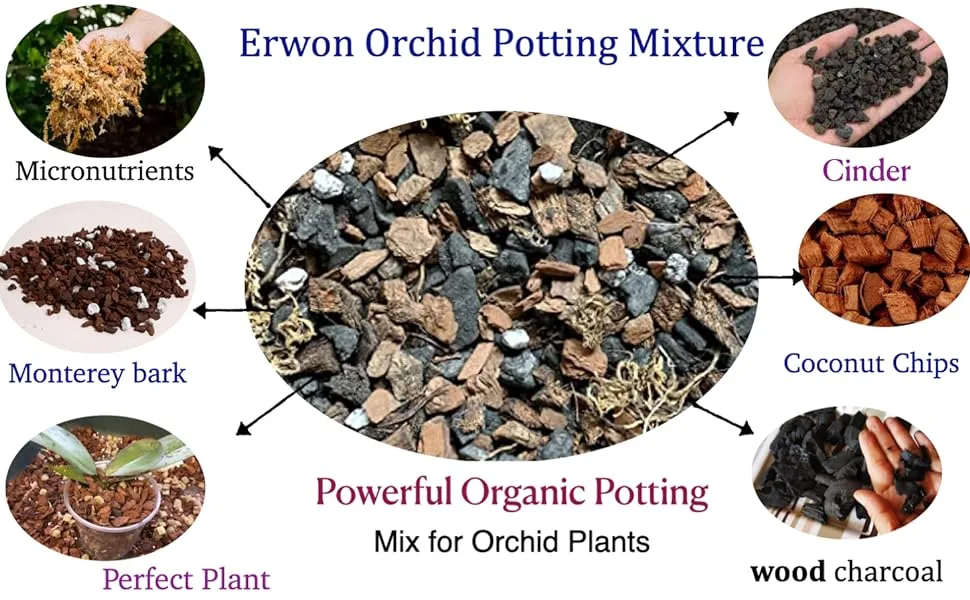 Erwon_Orchid_Potting_Mix