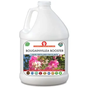 Erwon Bougainvillea Booster Liquid Fertilizer From Sansar Green