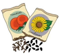 Erwon gardening Seeds