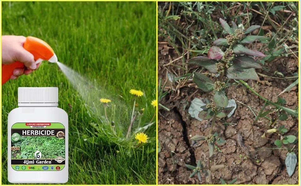 Rimi Garden Herbicide Liquid For Plants