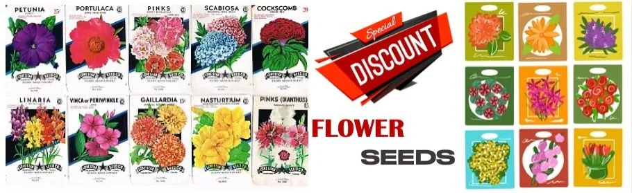 Erwon flower seeds online best qulaity