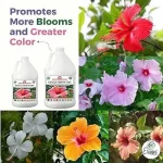 Erwon Hibiscus Flower Tonic Liquid Fertilizer