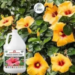 Erwon Hibiscus Flower Tonic Liquid Fertilizer