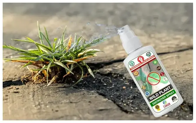 Erwon Wild Plant Destroyer liquid Spray