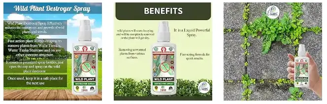 Erwon Wild Plant Destroyer liquid Spray