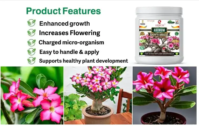 Erwon Adenium growth Miracle Fertilizer