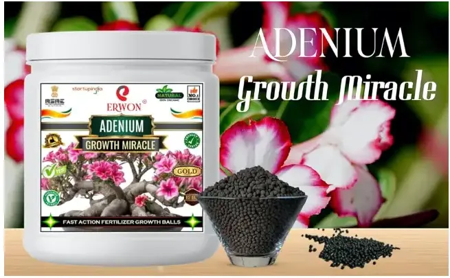 Erwon Adenium growth Miracle Fertilizer