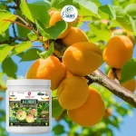 Erwon All Fruits Growth Miracle