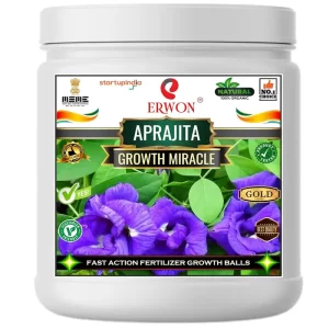 Erwon Aprajita Growth Miracle