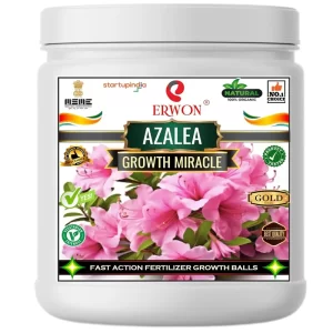 Erwon Azalea Growth Miracle