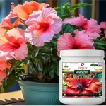 Erwon Hibiscus Growth Miracle