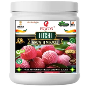 Erwon Ltchi Growth Miracle