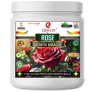 Erwon Rose Growth Miracle