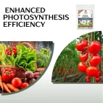 Er_Chelated_Potash