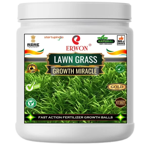 Er_Lawan_Grass_Growth_Miracle