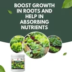 Er_Leafy_Vegetable_Growth_Miracle