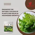Er_Leafy_Vegetable_Growth_Miracle