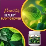 Er_Leaves_Growth_Miracle