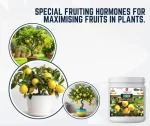 Er_Lemon_Growth_Miracle