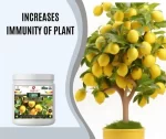 Er_Lemon_Growth_Miracle
