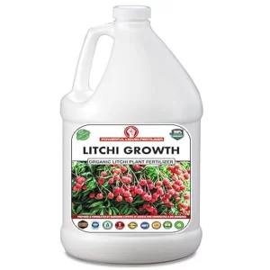 Er_Litchi_Growth